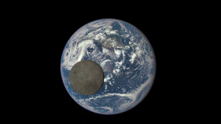 Spotkanie Ziemi i Księżyca. Niezwykłe zdjęcie